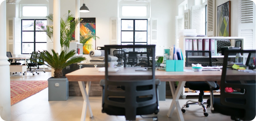 Bright, modern office with wooden desks, black chairs, plants, and large windows.